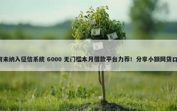 安逸花逾期还款为何未纳入征信系统 6000 无门槛本月借款平台力荐！分享小额网贷口子6000无门槛借款
