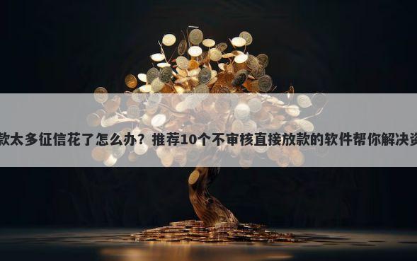 申请贷款太多征信花了怎么办？推荐10个不审核直接放款的软件帮你解决资金问题