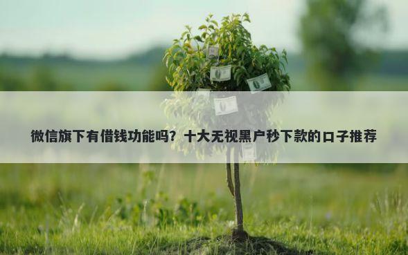 微信旗下有借钱功能吗？十大无视黑户秒下款的口子推荐