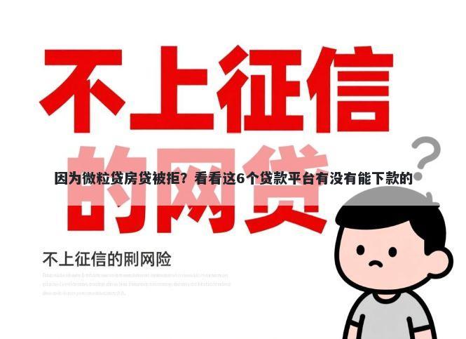 因为微粒贷房贷被拒？看看这6个贷款平台有没有能下款的