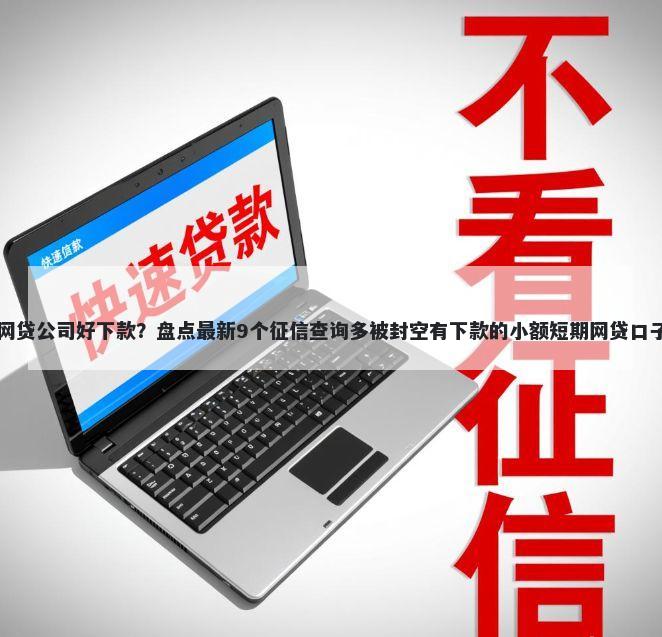 网贷公司好下款？盘点最新9个征信查询多被封空有下款的小额短期网贷口子