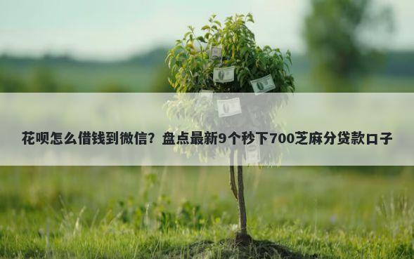 花呗怎么借钱到微信？盘点最新9个秒下700芝麻分贷款口子