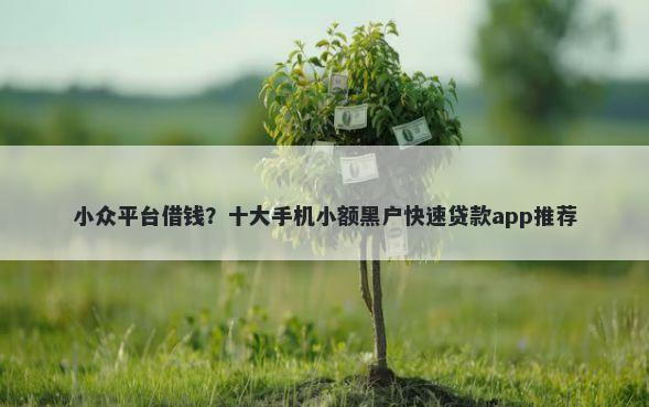 小众平台借钱？十大手机小额黑户快速贷款app推荐