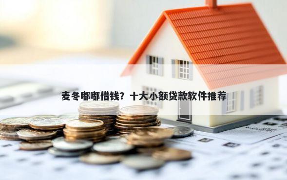 麦冬嘟嘟借钱？十大小额贷款软件推荐