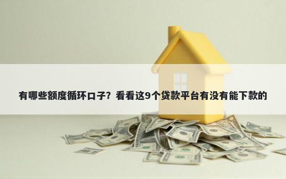 有哪些额度循环口子？看看这9个贷款平台有没有能下款的