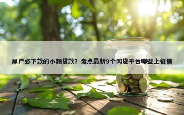 黑户必下款的小额贷款？盘点最新9个网贷平台哪些上征信