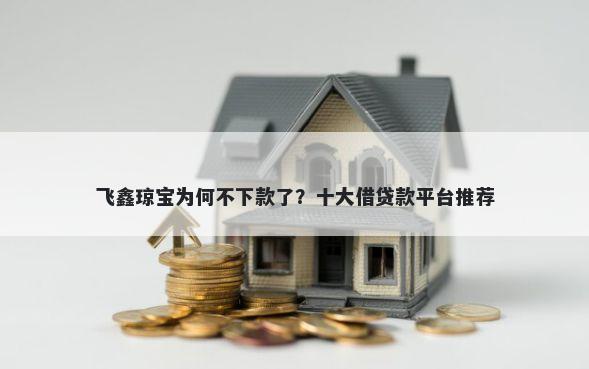 飞鑫琼宝为何不下款了？十大借贷款平台推荐