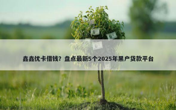 鑫鑫优卡借钱？盘点最新5个2025年黑户贷款平台