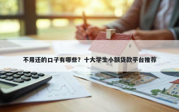 不用还的口子有哪些？十大学生小额贷款平台推荐