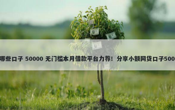 信用卡网贷有哪些口子 50000 无门槛本月借款平台力荐！分享小额网贷口子50000无门槛借款