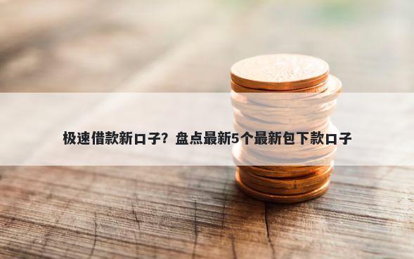 极速借款新口子？盘点最新5个最新包下款口子