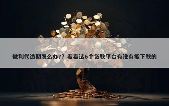 微利代逾期怎么办??看看这6个贷款平台有没有能下款的