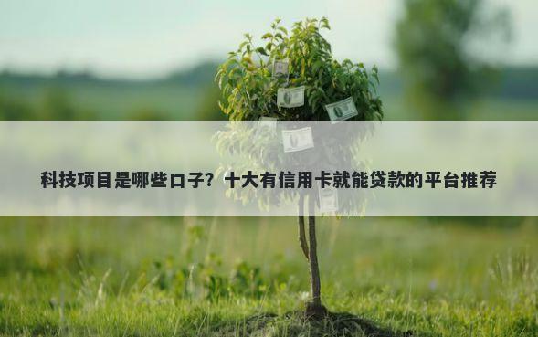 科技项目是哪些口子?十大有信用卡就能贷款的平台推荐