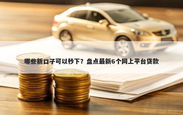 哪些新口子可以秒下?盘点最新6个网上平台贷款