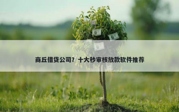 商丘借贷公司？十大秒审核放款软件推荐