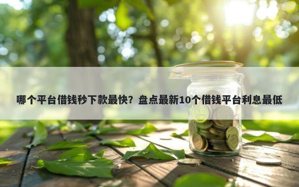 哪个平台借钱秒下款最快?盘点最新10个借钱平台利息最低