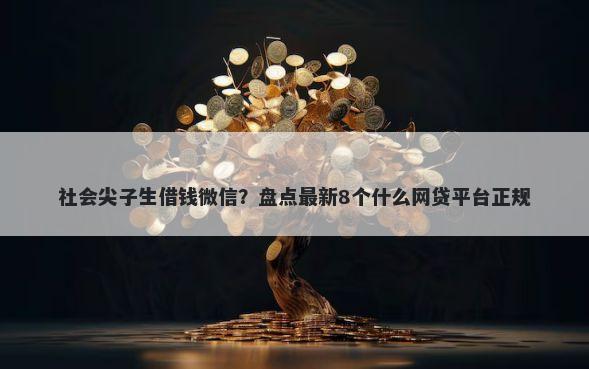 社会尖子生借钱微信?盘点最新8个什么网贷平台正规