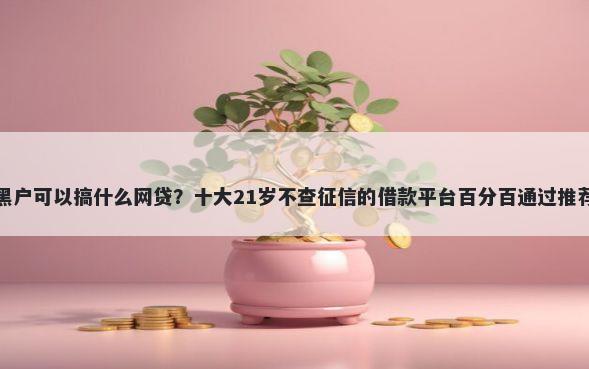黑户可以搞什么网贷？十大21岁不查征信的借款平台百分百通过推荐