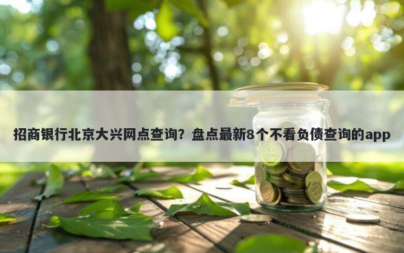 招商银行北京大兴网点查询？盘点最新8个不看负债查询的app