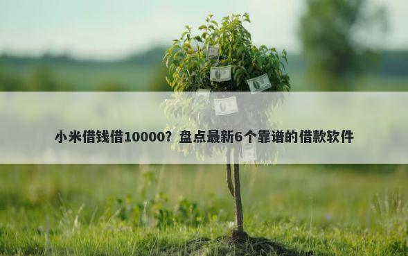 小米借钱借10000?盘点最新6个靠谱的借款软件