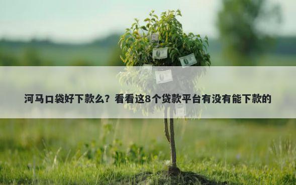 河马口袋好下款么？看看这8个贷款平台有没有能下款的