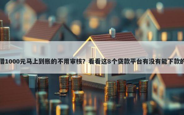 借1000元马上到账的不用审核？看看这8个贷款平台有没有能下款的