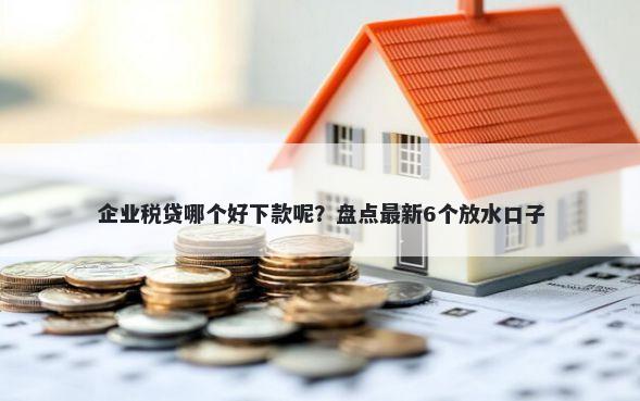 企业税贷哪个好下款呢？盘点最新6个放水口子