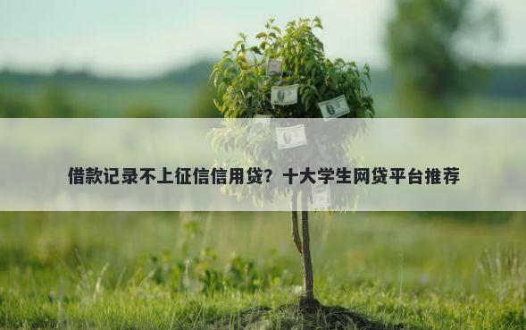 借款记录不上征信信用贷?十大学生网贷平台推荐