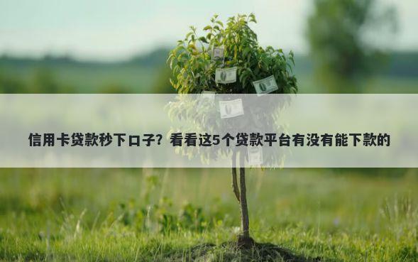 信用卡贷款秒下口子?看看这5个贷款平台有没有能下款的