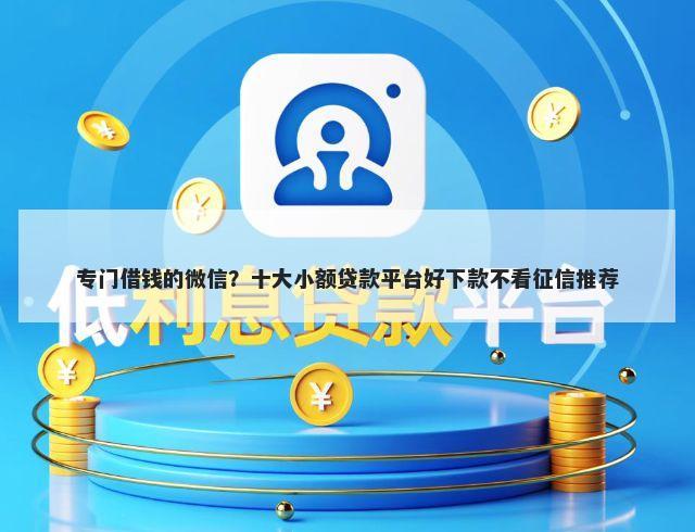 专门借钱的微信？十大小额贷款平台好下款不看征信推荐