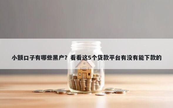 小额口子有哪些黑户?看看这5个贷款平台有没有能下款的